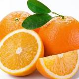 Куплю нужны апельсины  оптом