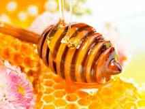 Продам: мед гречишный
