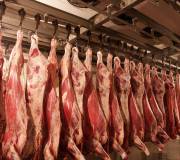 Ищу поставщика охлажденного мяса: свинина, курица, говядина