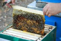 Продам: ульи для пчел, пасеки, пчелоинвентарь