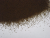 цикорий в мешках нефасованный растворимый (пр-во индии,бельгии) - фото товара