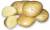 картофель молодой оптом со склада в москве - фото товара