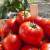 помидоры "старпак" из армении - фото товара