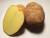 картофель сорта "веннета" оптом - фото товара