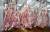 охлажденное мясо бычков и телятина из белоруссии - фото товара