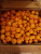 абхазские мандарины оптом в москве - фото товара