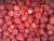 2016 новый урожай замороженная клубника сорт хани - фото товара