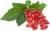 ягоды смородины красной - фото товара