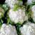 предлагаю свежие овощи :  цветная капуста - фото товара