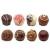 продам: шоколад, шоколадные конфеты оптом в москве - фото товара