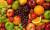 продам: сублимированные фруктово-ягодные порошки  - фото товара