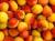 продам: сухие  фрукты абрикос - фото товара