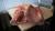 свинина, полутуши, 1 категория, на шкуре - фото товара