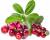 ягоды брусника - фото товара