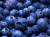 продам: замороженные ягоды голубика - фото товара