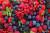 продам: свежемороженые ягоды - фото товара