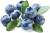 продам: ягоды замороженные в ассортименте голубика - фото товара