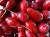 продам: свежие ягоды кизил - фото товара
