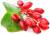 продам: замороженные ягоды барбарис - фото товара