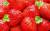 продам: ягоды оптом клубника - фото товара