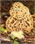 продам: свежемороженые  грибы сморчки - фото товара