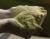 продам: рыбная мука на корм в москве - фото товара