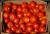 ищу поставщиков овощей огурцы томаты напрямую от производителя беларусь и россия - от 10 тн. - фото товара