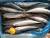 свежемороженная рыба тихоокеанская скумбрия (китай) - фото товара