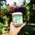 кокосовое масло 500 мл, нерафинированное organic - фото товара