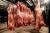 быки в тушах фермерское мясо - фото товара