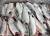 рыба: лосось,горбушу, минтай, скумбрию и т.п (морская рыба в ассортименте), филе рыбы с/м.  - фото товара