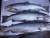 лосось чили в москве - фото товара