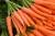 морковь - фото товара