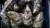 устрица живая сахалинская - фото товара