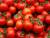 помидоры ветка красные  - фото товара
