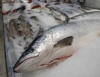 как увеличить объемы продажи рыбы на российском рынке? - новости на портале Market-FMCG.ru