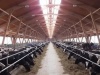 производителям мяса и молока придется раскошелиться на внедрение фгис в отрасли - новости на портале Market-FMCG.ru