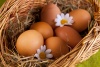 продажи яиц стали снижаться из-за повышения цен - новости на портале Market-FMCG.ru
